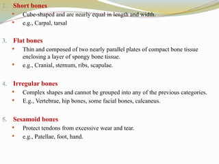 2. Short bones
 Cube-shaped and are nearly equal in length and width.
 e.g., Carpal, tarsal
3. Flat bones
 Thin and composed of two nearly parallel plates of compact bone tissue
enclosing a layer of spongy bone tissue.
 e.g., Cranial, sternum, ribs, scapulae.
4. Irregular bones
 Complex shapes and cannot be grouped into any of the previous categories.
 E.g., Vertebrae, hip bones, some facial bones, calcaneus.
5. Sesamoid bones
 Protect tendons from excessive wear and tear.
 e.g., Patellae, foot, hand.
 