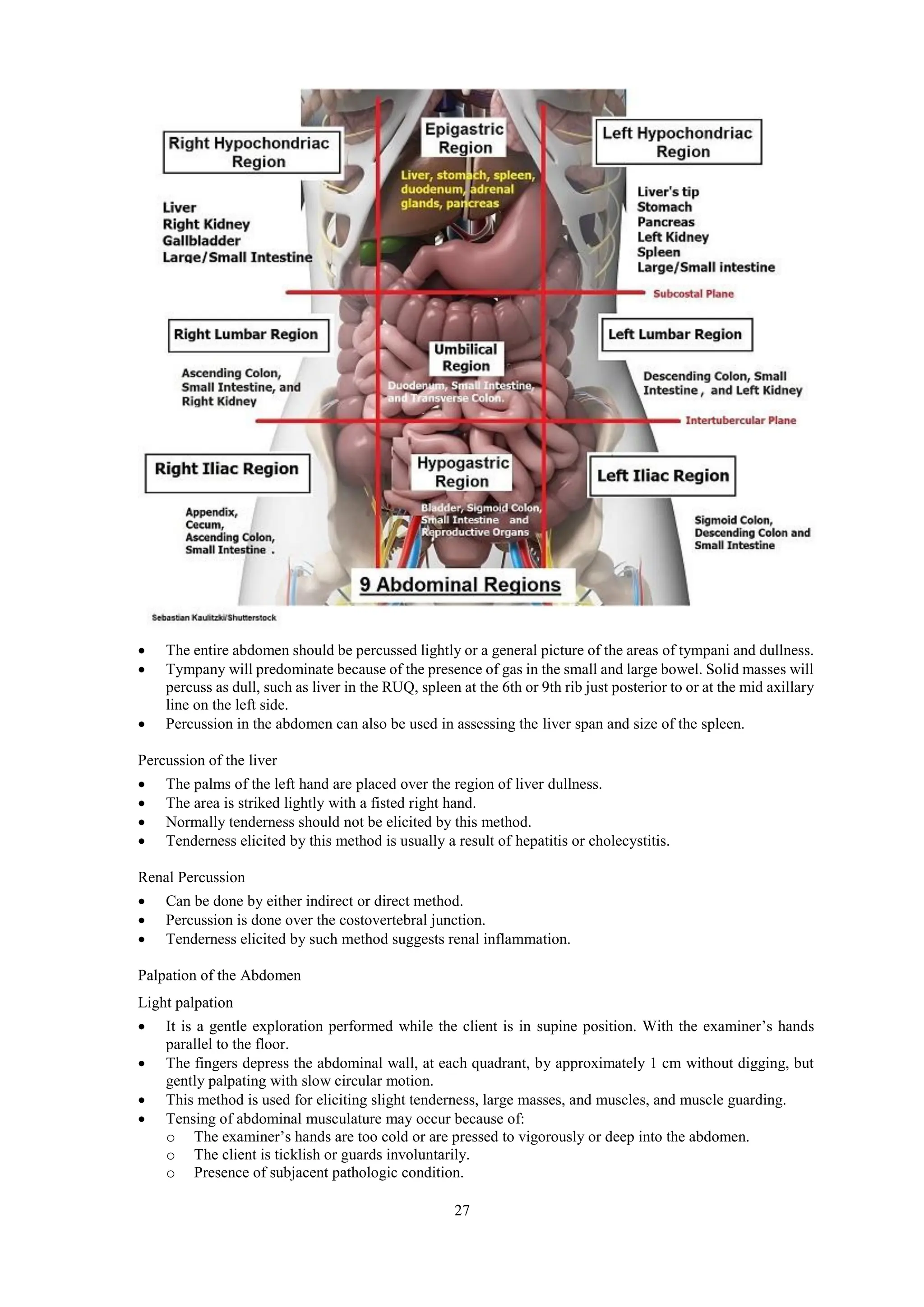 27
 The entire abdomen should be percussed lightly or a general picture of the areas of tympani and dullness.
 Tympany will predominate because of the presence of gas in the small and large bowel. Solid masses will
percuss as dull, such as liver in the RUQ, spleen at the 6th or 9th rib just posterior to or at the mid axillary
line on the left side.
 Percussion in the abdomen can also be used in assessing the liver span and size of the spleen.
Percussion of the liver
 The palms of the left hand are placed over the region of liver dullness.
 The area is striked lightly with a fisted right hand.
 Normally tenderness should not be elicited by this method.
 Tenderness elicited by this method is usually a result of hepatitis or cholecystitis.
Renal Percussion
 Can be done by either indirect or direct method.
 Percussion is done over the costovertebral junction.
 Tenderness elicited by such method suggests renal inflammation.
Palpation of the Abdomen
Light palpation
 It is a gentle exploration performed while the client is in supine position. With the examiner’s hands
parallel to the floor.
 The fingers depress the abdominal wall, at each quadrant, by approximately 1 cm without digging, but
gently palpating with slow circular motion.
 This method is used for eliciting slight tenderness, large masses, and muscles, and muscle guarding.
 Tensing of abdominal musculature may occur because of:
o The examiner’s hands are too cold or are pressed to vigorously or deep into the abdomen.
o The client is ticklish or guards involuntarily.
o Presence of subjacent pathologic condition.
 