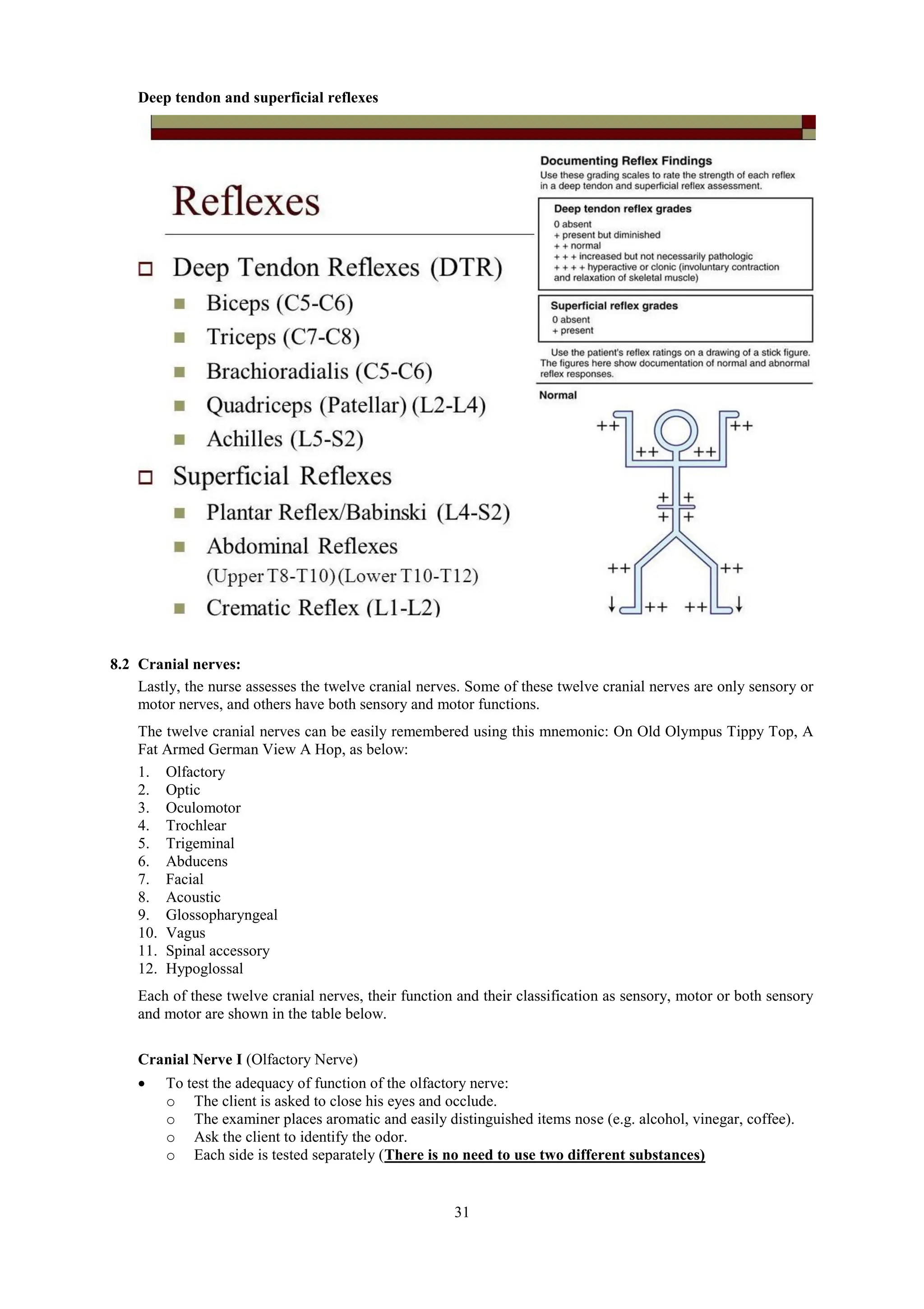 31
Deep tendon and superficial reflexes
8.2 Cranial nerves:
Lastly, the nurse assesses the twelve cranial nerves. Some of these twelve cranial nerves are only sensory or
motor nerves, and others have both sensory and motor functions.
The twelve cranial nerves can be easily remembered using this mnemonic: On Old Olympus Tippy Top, A
Fat Armed German View A Hop, as below:
1. Olfactory
2. Optic
3. Oculomotor
4. Trochlear
5. Trigeminal
6. Abducens
7. Facial
8. Acoustic
9. Glossopharyngeal
10. Vagus
11. Spinal accessory
12. Hypoglossal
Each of these twelve cranial nerves, their function and their classification as sensory, motor or both sensory
and motor are shown in the table below.
Cranial Nerve I (Olfactory Nerve)
 To test the adequacy of function of the olfactory nerve:
o The client is asked to close his eyes and occlude.
o The examiner places aromatic and easily distinguished items nose (e.g. alcohol, vinegar, coffee).
o Ask the client to identify the odor.
o Each side is tested separately (There is no need to use two different substances)
 