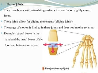 i. Planar joints
 They have bones with articulating surfaces that are flat or slightly curved
faces.
 These joints allow for gliding movements (gliding joints).
 The range of motion is limited in these joints and does not involve rotation.
 Example : carpal bones in the
hand and the tarsal bones of the
foot, and between vertebrae.
 