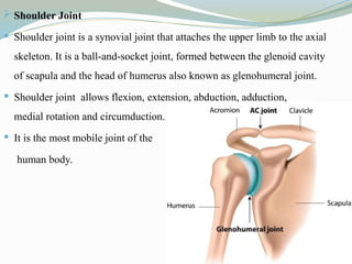  Shoulder Joint
 Shoulder joint is a synovial joint that attaches the upper limb to the axial
skeleton. It is a ball-and-socket joint, formed between the glenoid cavity
of scapula and the head of humerus also known as glenohumeral joint.
 Shoulder joint allows flexion, extension, abduction, adduction,
medial rotation and circumduction.
 It is the most mobile joint of the
human body.
 