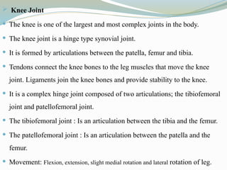  Knee Joint
 The knee is one of the largest and most complex joints in the body.
 The knee joint is a hinge type synovial joint.
 It is formed by articulations between the patella, femur and tibia.
 Tendons connect the knee bones to the leg muscles that move the knee
joint. Ligaments join the knee bones and provide stability to the knee.
 It is a complex hinge joint composed of two articulations; the tibiofemoral
joint and patellofemoral joint.
 The tibiofemoral joint : Is an articulation between the tibia and the femur.
 The patellofemoral joint : Is an articulation between the patella and the
femur.
 Movement: Flexion, extension, slight medial rotation and lateral rotation of leg.
 
