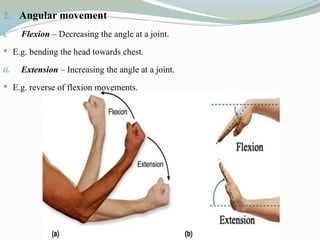 2. Angular movement
i. Flexion – Decreasing the angle at a joint.
 E.g. bending the head towards chest.
ii. Extension – Increasing the angle at a joint.
 E.g. reverse of flexion movements.
 