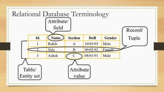 Comprehensive Introduction to Database Management Systems and ...