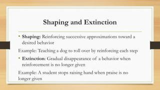B.F. Skinner’s Operant Conditioning: Learning Through Consequences in ...