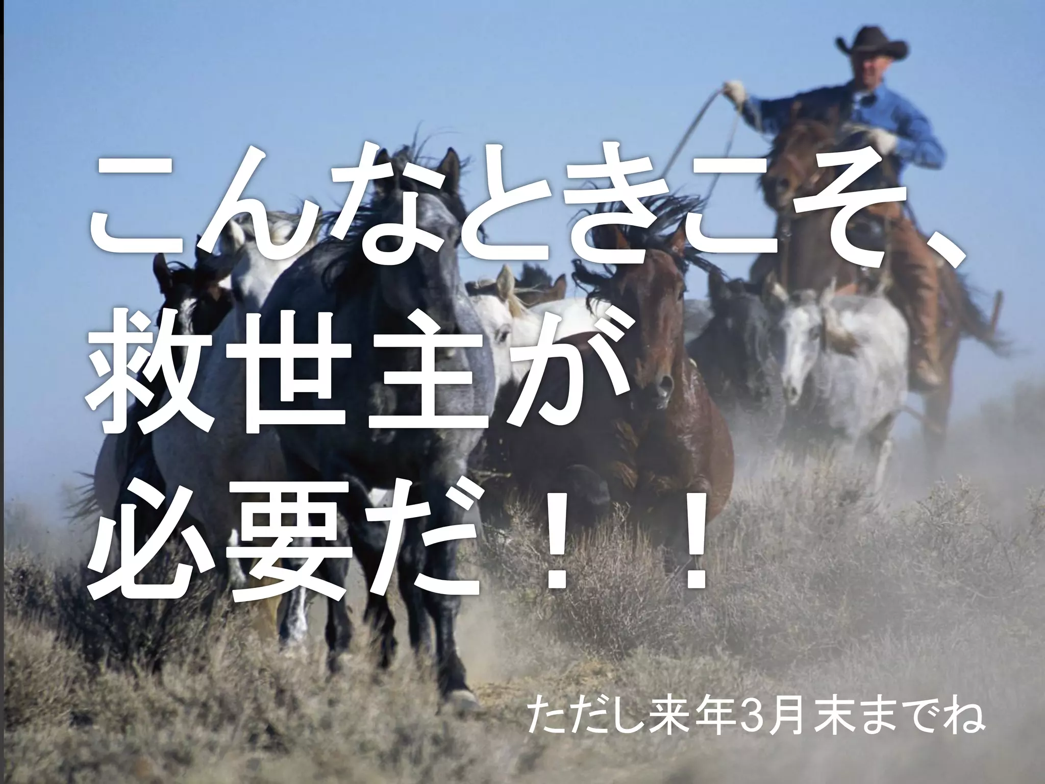 ただし来年3月末までね
Developers Summit 2012
 