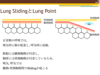 16



Lung SlidingとLung Point
                            壁側胸膜
                   壁側胸膜
                   臓側胸膜
                          Air



                            臓側胸膜

 正常肺の呼吸では,
 吸気時に肺が拡張し, 呼気時に収縮.

 肺胞には臓側胸膜が付着し,
 胸壁には壁側胸膜が付着しているため,
 吸気, 呼気では
 臓側-壁側胸膜間でSlidingが起こる
 