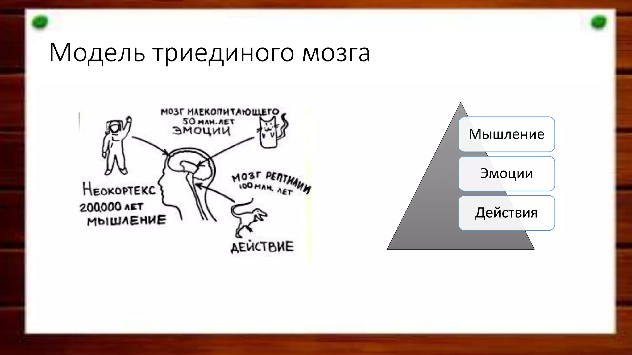 Модель триединого мозга
Мышление
Эмоции
Действия