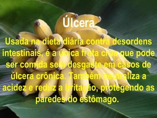 Úlcera Usada na dieta diária contra desordens intestinais, é a única fruta crua que pode ser comida sem desgaste em casos de úlcera crônica. Também neutraliza a acidez e reduz a irritação, protegendo as paredes do estômago.   
