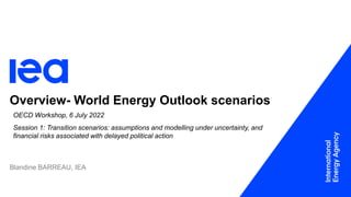 Overview- World Energy Outlook scenarios
OECD Workshop, 6 July 2022
Session 1: Transition scenarios: assumptions and modelling under uncertainty, and
financial risks associated with delayed political action
Blandine BARREAU, IEA
 