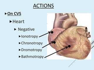 ACTIONS
On CVS
Heart
 Negative
Ionotropy
Chronotropy
Dromotropy
Bathmotropy
 