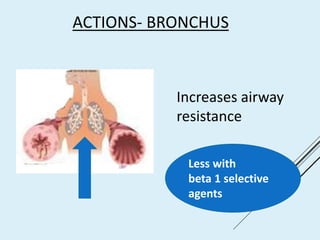 ACTIONS- BRONCHUS
Increases airway
resistance
Less with
beta 1 selective
agents
 