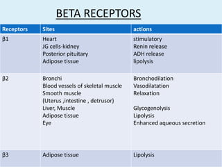BETA RECEPTORS
Receptors Sites actions
β1 Heart
JG cells-kidney
Posterior pituitary
Adipose tissue
stimulatory
Renin release
ADH release
lipolysis
β2 Bronchi
Blood vessels of skeletal muscle
Smooth muscle
(Uterus ,intestine , detrusor)
Liver, Muscle
Adipose tissue
Eye
Bronchodilation
Vasodilatation
Relaxation
Glycogenolysis
Lipolysis
Enhanced aqueous secretion
β3 Adipose tissue Lipolysis
 