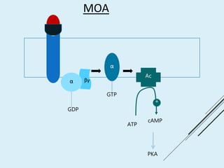 MOA
Ac
PKA
α
GTP
ATP
cAMP
+
GDP
α βγ
 