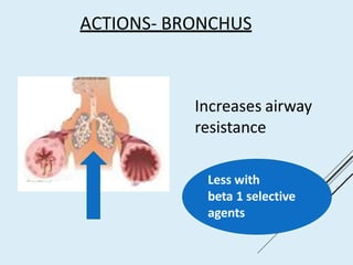 ACTIONS- BRONCHUS
Increases airway
resistance
Less with
beta 1 selective
agents
 