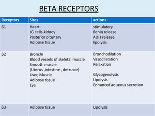 BETA RECEPTORS
Receptors Sites
β1 Heart
JG cells-kidney
Posterior pituitary
Adipose tissue
β2 Bronchi
Blood vessels of skeletal muscle
Smooth muscle
(Uterus ,intestine , detrusor)
Liver, Muscle
Adipose tissue
Eye
actions
stimulatory
Renin release
ADH release
lipolysis
Bronchodilation
Vasodilatation
Relaxation
Glycogenolysis
Lipolysis
Enhanced aqueous secretion
β3 Adipose tissue Lipolysis
 