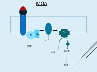 MOA
Ac
PKA
α
GTP
ATP
cAMP
+
GDP
α βγ
 