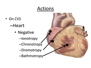 Actions
• On CVS
–Heart
• Negative
–Ionotropy
–Chronotropy
–Dromotropy
–Bathmotropy
 