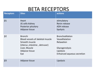 BETA RECEPTORS
Receptors Sites actions
β1 Heart
JG cells-kidney
Posterior pituitary
Adipose tissue
stimulatory
Renin release
ADH release
lipolysis
β2 Bronchi
Blood vessels of skeletal muscle
Smooth muscle
(Uterus ,intestine , detrusor)
Liver, Muscle
Adipose tissue
Eye
Bronchodilation
Vasodilatation
Relaxation
Glycogenolysis
Lipolysis
Enhanced aqueous secretion
β3 Adipose tissue Lipolysis
 
