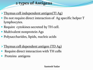 Santosh Yadav
2 types of Antigens
Thymus cell independent antigen(TI Ag)
 Do not require direct interaction of Ag specific helper T
lymphocytes.
 Require cytokines secreted by TH cell.
 Multivalent nonprotein Ags
 Polysaccharides, lipids, nucleic acids
Thymus cell dependent antigen (TD Ag)
 Require direct interaction with TH cells
 Proteins antigens
 