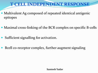 Santosh Yadav
 Multivalent Ag composed of repeated identical antigenic
epitopes
 Maximal cross-linking of the BCR complex on specific B-cells
 Sufficient signalling for activation.
 Bcell co-receptor complex, further augment signaling
 