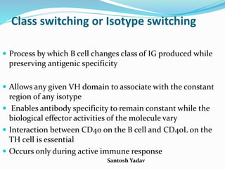 Santosh Yadav
Class switching or Isotype switching
 Process by which B cell changes class of IG produced while
preserving antigenic specificity
 Allows any given VH domain to associate with the constant
region of any isotype
 Enables antibody specificity to remain constant while the
biological effector activities of the molecule vary
 Interaction between CD40 on the B cell and CD40L on the
TH cell is essential
 Occurs only during active immune response
 
