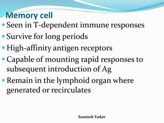 Santosh Yadav
Memory cell
 Seen in T-dependent immune responses
 Survive for long periods
 High-affinity antigen receptors
 Capable of mounting rapid responses to
subsequent introduction of Ag
 Remain in the lymphoid organ where
generated or recirculates
 