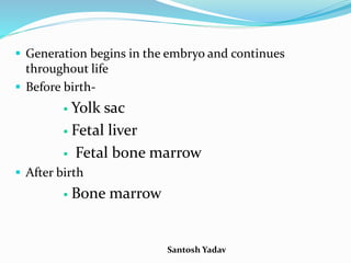 Santosh Yadav
 Generation begins in the embryo and continues
throughout life
 Before birth-
 Yolk sac
 Fetal liver
 Fetal bone marrow
 After birth
 Bone marrow
 