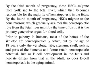 By the third month of pregnancy, these HSCs migrate
from yolk sac to the fetal liver, which then becomes
responsible for the majority of hematopoiesis in the fetus.
By the fourth month of pregnancy, HSCs migrate to the
bone marrow, which gradually assumes the hematopoietic
role from the fetal liver until, by the time of birth, it is the
primary generative organ for blood cells.
Prior to puberty in humans, most of the bones of the
skeleton are hematopoietically active, but by the age of
18 years only the vertebrae, ribs, sternum, skull, pelvis,
and parts of the humerus and femur retain hematopoietic
potential. Just as B-cell development in the fetus and
neonate differs from that in the adult, so does B-cell
hematopoiesis in the aging animal.
 
