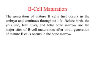 B-Cell Maturation
The generation of mature B cells first occurs in the
embryo and continues throughout life. Before birth, the
yolk sac, fetal liver, and fetal bone marrow are the
major sites of B-cell maturation; after birth, generation
of mature B cells occurs in the bone marrow.
 