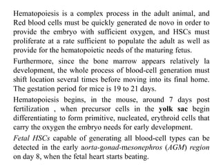 Hematopoiesis is a complex process in the adult animal, and
Red blood cells must be quickly generated de novo in order to
provide the embryo with sufficient oxygen, and HSCs must
proliferate at a rate sufficient to populate the adult as well as
provide for the hematopoietic needs of the maturing fetus.
Furthermore, since the bone marrow appears relatively la
development, the whole process of blood-cell generation must
shift location several times before moving into its final home.
The gestation period for mice is 19 to 21 days.
Hematopoiesis begins, in the mouse, around 7 days post
fertilization , when precursor cells in the yolk sac begin
differentiating to form primitive, nucleated, erythroid cells that
carry the oxygen the embryo needs for early development.
Fetal HSCs capable of generating all blood-cell types can be
detected in the early aorta-gonad-mesonephros (AGM) region
on day 8, when the fetal heart starts beating.
 