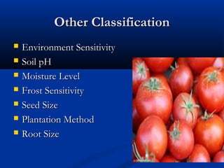 Other ClassificationOther Classification
 Environment SensitivityEnvironment Sensitivity
 Soil pHSoil pH
 Moisture LevelMoisture Level
 Frost SensitivityFrost Sensitivity
 Seed SizeSeed Size
 Plantation MethodPlantation Method
 Root SizeRoot Size
 