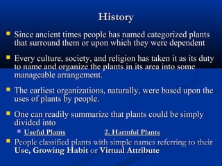 HistoryHistory
 Since ancient times people has named categorized plantsSince ancient times people has named categorized plants
that surround them or upon which they were dependentthat surround them or upon which they were dependent
 Every culture, society, and religion has taken it as its dutyEvery culture, society, and religion has taken it as its duty
to name and organize the plants in its area into someto name and organize the plants in its area into some
manageable arrangement.manageable arrangement.
 The earliest organizations, naturally, were based upon theThe earliest organizations, naturally, were based upon the
uses of plants by people.uses of plants by people.
 One can readily summarize that plants could be simplyOne can readily summarize that plants could be simply
divided intodivided into
 Useful PlantsUseful Plants 2. Harmful Plants2. Harmful Plants
 People classified plants with simple names referring to theirPeople classified plants with simple names referring to their
Use, Growing HabitUse, Growing Habit oror Virtual AttributeVirtual Attribute
 