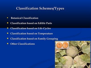 Classification Schemes/TypesClassification Schemes/Types

Botanical ClassificationBotanical Classification
 Classification based on Edible PartsClassification based on Edible Parts
 Classification based on Life CyclesClassification based on Life Cycles
 Classification based on TemperatureClassification based on Temperature
 Classification based on Family GroupingClassification based on Family Grouping
 Other ClassificationsOther Classifications
 