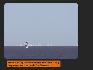 Rio de la Plata y sus típicos veleros de esta zona. Muy muy muy al fondo  se puede “ver” Colonia….