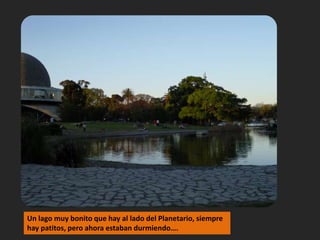 Un lago muy bonito que hay al lado del Planetario, siempre hay patitos, pero ahora estaban durmiendo….