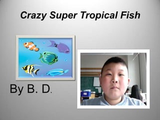Crazy Super Tropical Fish By B. D. 