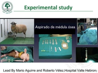 Experimental study
Lead By Mario Aguirre and Roberto Vélez,Hospital Valle Hebron)
 