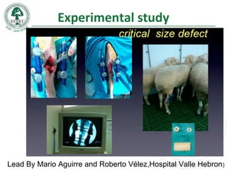 Experimental study
Lead By Mario Aguirre and Roberto Vélez,Hospital Valle Hebron)
 