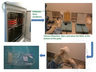 Volume Reduction (Spin cycle place the MSCc at the
bottom of the pack)
CellStacks
Strict
conditions
Cèl-lules mesenquimals, previes a la colonització
 