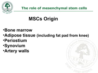 The role of mesenchymal stem cells
MSCs Origin
•Bone marrow
•Adipose tissue (including fat pad from knee)
•Periostium
•Synovium
•Artery walls
 