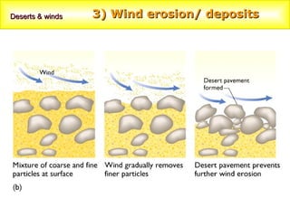 Deserts & winds   3) Wind erosion/ deposits
 