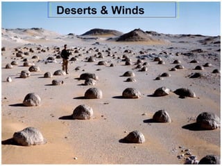 Deserts & Winds
 