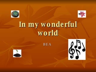 In my wonderful world BEA  