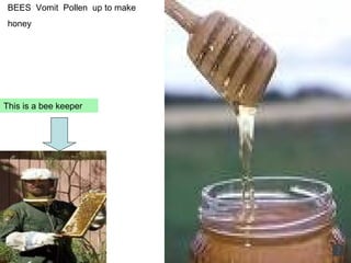 BEES Vomit Pollen up to make honey This is a bee keeper