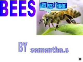 WHAT  WAS  I  THINKING samantha.s BY BEES 