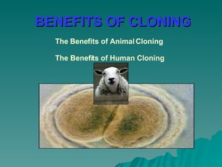 BENEFITS OF CLONING   The Benefits of Animal Cloning The Benefits of Human Cloning 