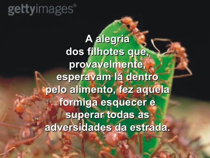 Imagem relacionada