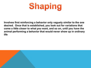 ShapingInvolves first reinforcing a behavior only vaguely similar to the one desired.  Once that is established, you look out for variations that come a little closer to what you want, and so on, until you have the animal performing a behavior that would never show up in ordinary life