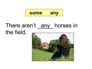There aren’t _____ horses in
the field.
any
7-8 Let’s Practice
some any
 